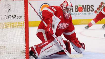 Red Wings Coach Makes Surprising 7-Word Comment on Goalie Position