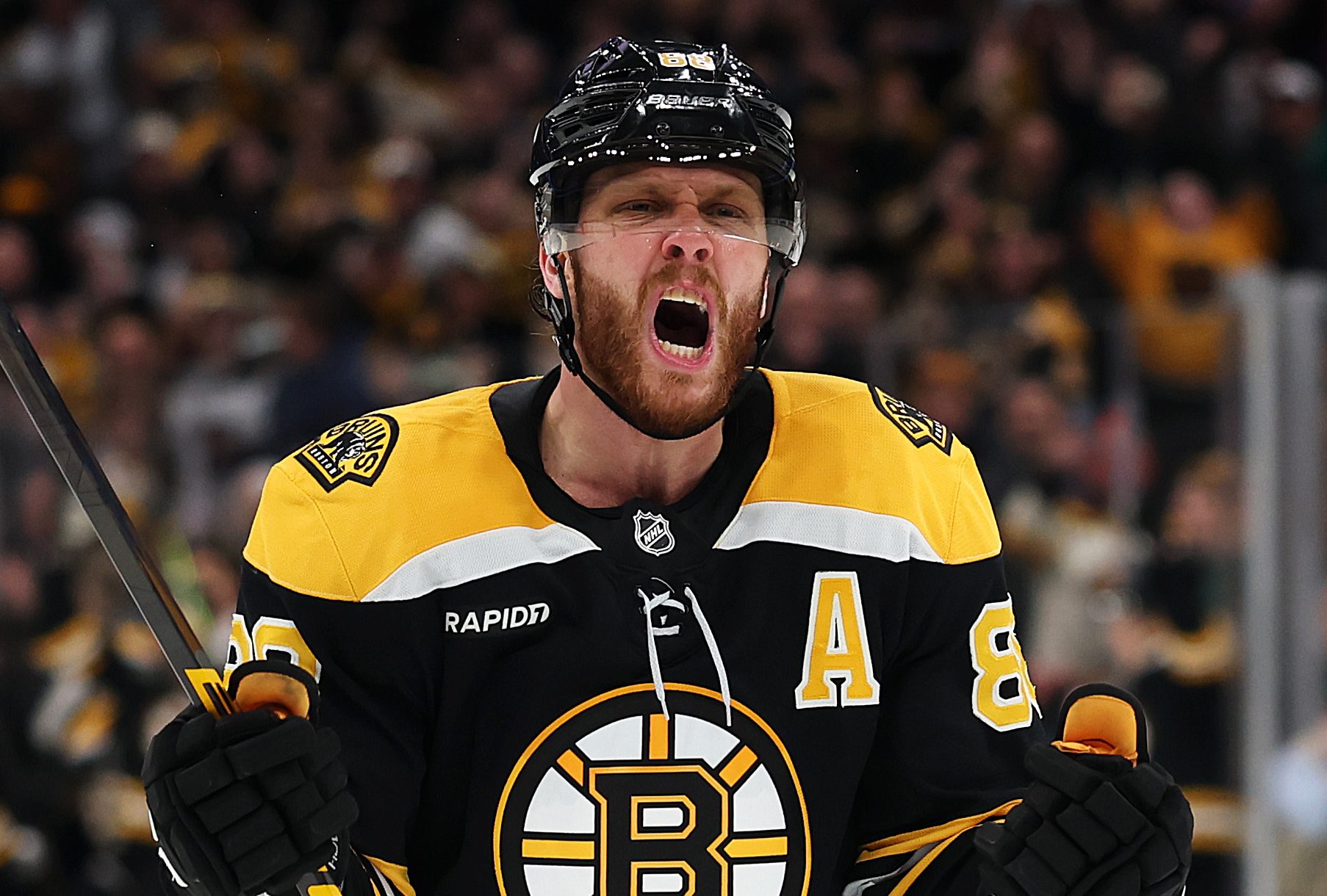 David Pastrnak