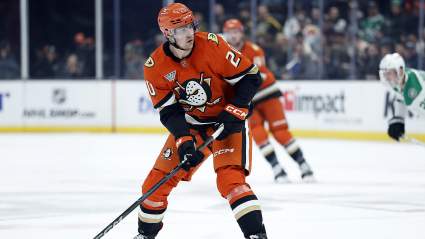 Canucks Should Sign Interesting 6-Foot-5 Power Forward