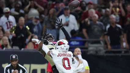 ‘Stone Cold Baller’ Will Johnson Gets Major Praise After Cardinals Week 1 Win