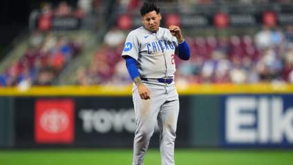 Cubs Get Good News on Rookie Moisés Ballesteros After Scary Moment