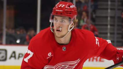 Red Wings Have Solution to Blue Line Needs Without Big Trade Move