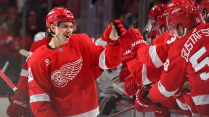 Red Wings Insider Gives Promising Update to Young Defenseman