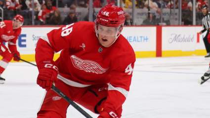 Red Wings Linked to Trading Star Young Forward To Cup Contending Team