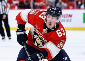 Panthers, Bruins
