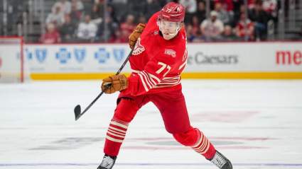 Red Wings Defenseman Makes Brutally Honest Assessment of His Play