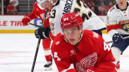 Red Wings Surging Prospect Has Now Forced a New Trade