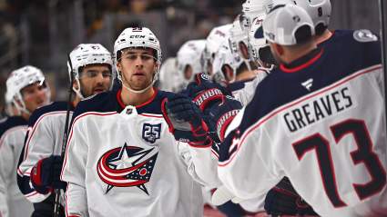 Canucks Trade Pitch Adds Fascinating Skilled Winger