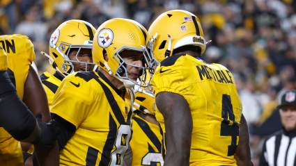 Steelers Finally Add WR, Give Aaron Rodgers Familiar Target: Report