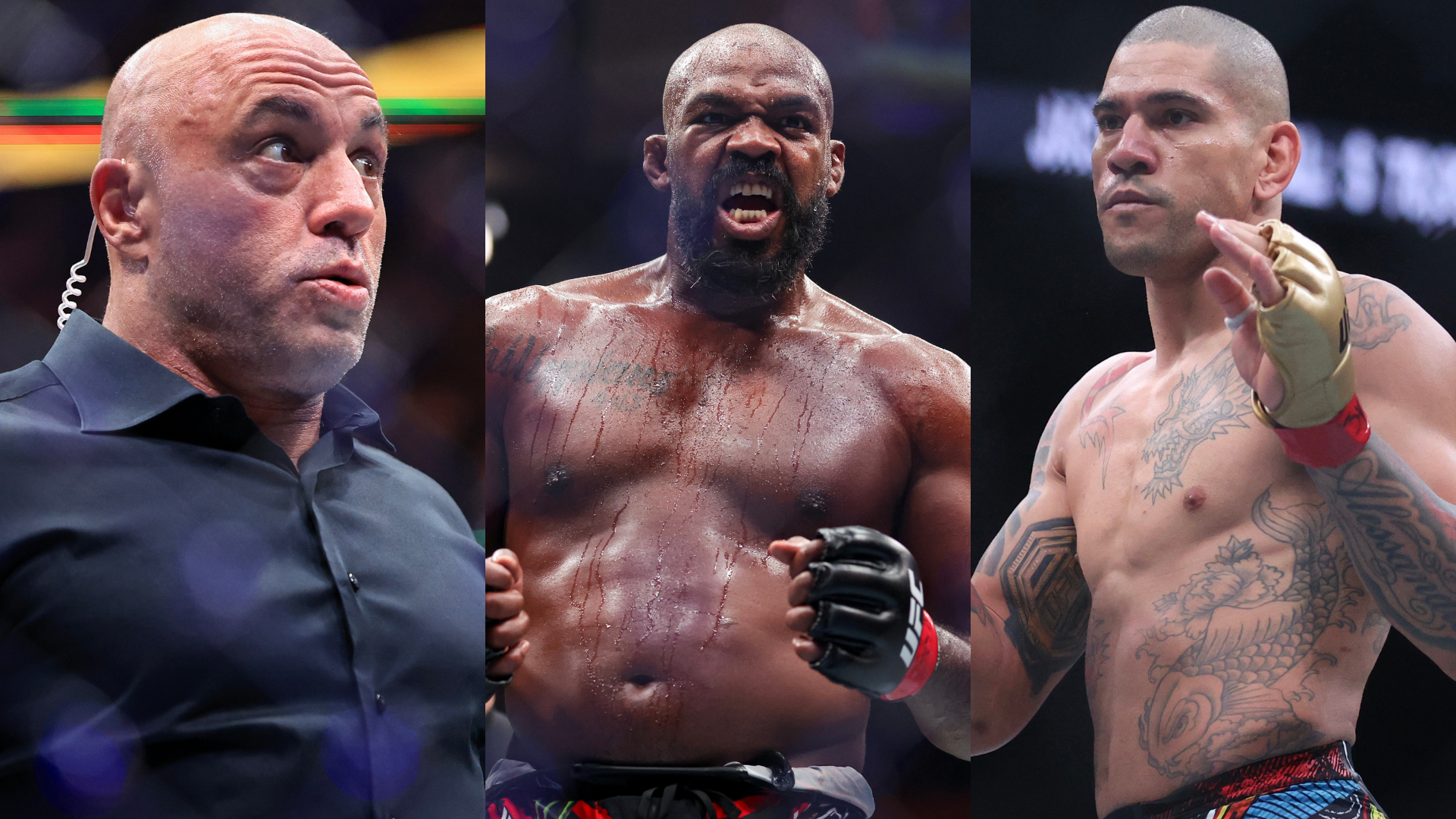 Joe Rogan Fighting Joe Rogan Fighting