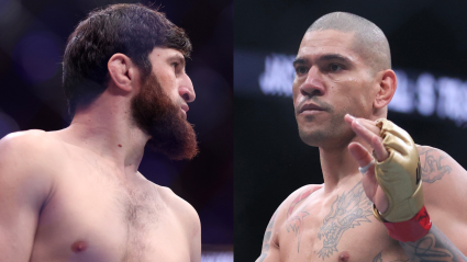 UFC 320: Magomed Ankalaev vs. Alex Pereira Betting Odds
