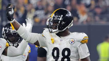 Steelers Bring Back Defender Pegged ‘Bad Match’ Just 2 Days After Departure