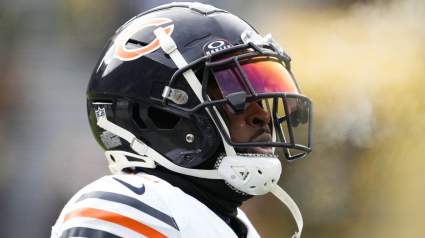 Bears Announce Good News Update on Thanksgiving