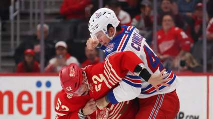 Red Wings Vet Could Land in Blueline Graveyard in Grand Rapids