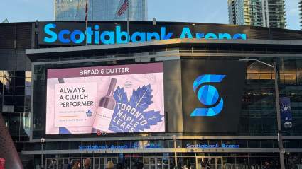 Maple Leafs See Stunning Attendance Lows at Scotiabank Arena