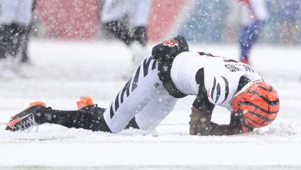 Bengals Get Major Injury Update on Tee Higgins After Dolphins Win