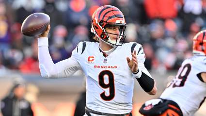 Joe Burrow Assigns Blame After Ravens Loss