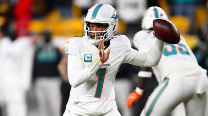 Dolphins Player in Hot Water for Actions Against Steelers