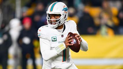 Dolphins Get Crushing News After Steelers Loss