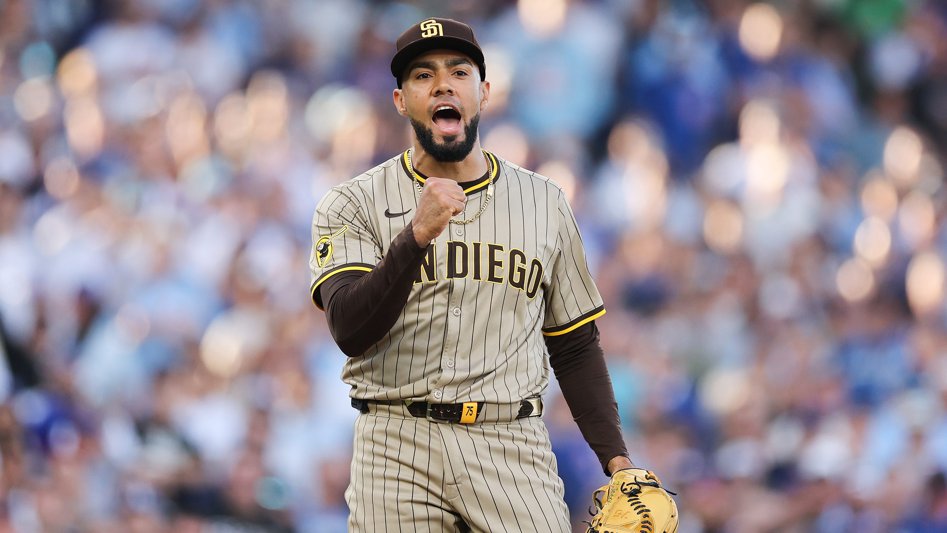 San Diego Padres Free Agent Signs Deal With Rival NL Team