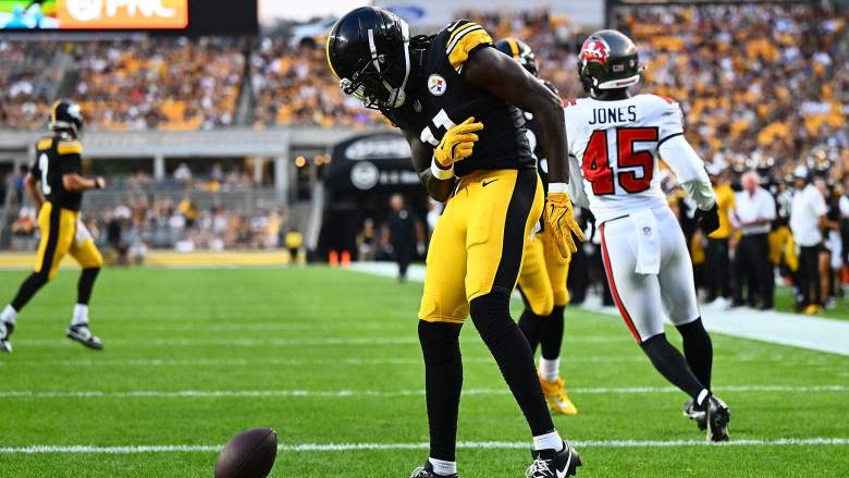 Brandon Johnson, Pittsburgh Steelers
