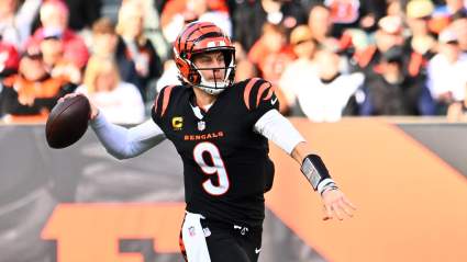 Celebrity Puts Bengals Ownership on Blast in Heated Rant