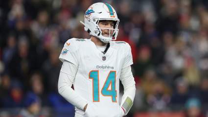 Dolphins Player Punished for Actions in Season Finale