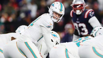 Dolphins Bring Back Former Coach