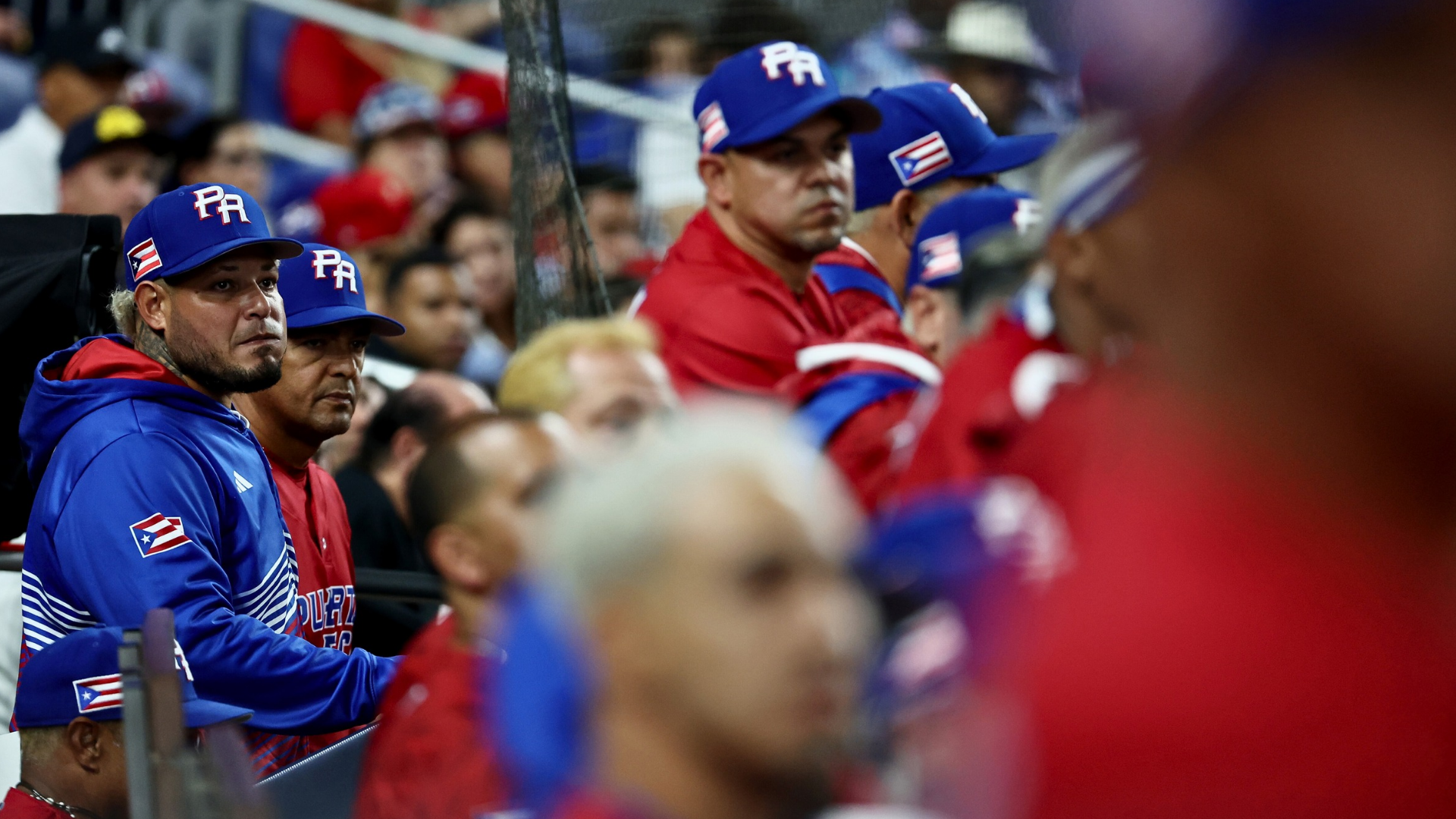 Puerto Rico players watch from the dugout during a World Baseball Classic game as the team considers withdrawing from the 2026 tournament.