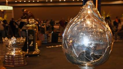 Red Wings D-Man Could Surprise with Major Award Consideration