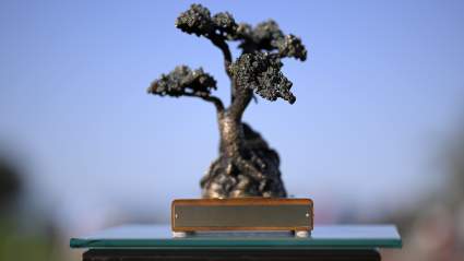 Farmers Insurance Open Purse: How Much Money Does the Winner Make?