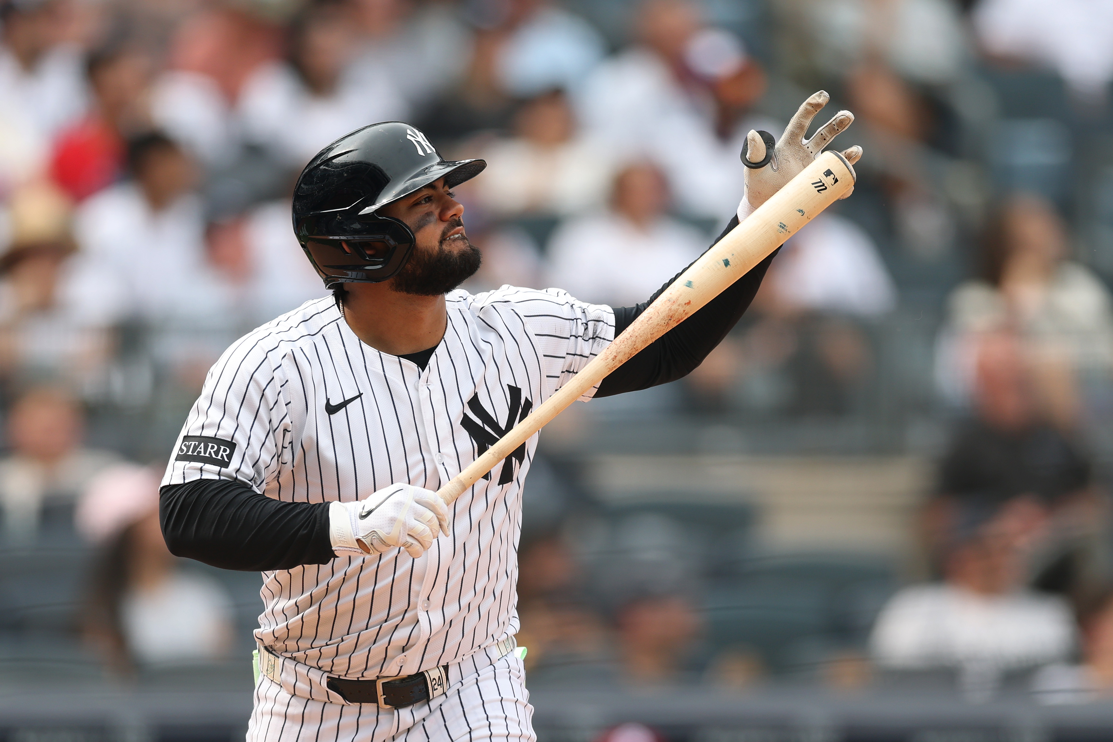 MLB Under wraps bat Jasson Dominguez 2箱 MLB Under wraps bat