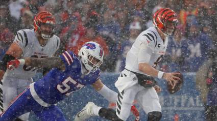 Bengals Urged to Sign $20 Million Starter in Free Agency