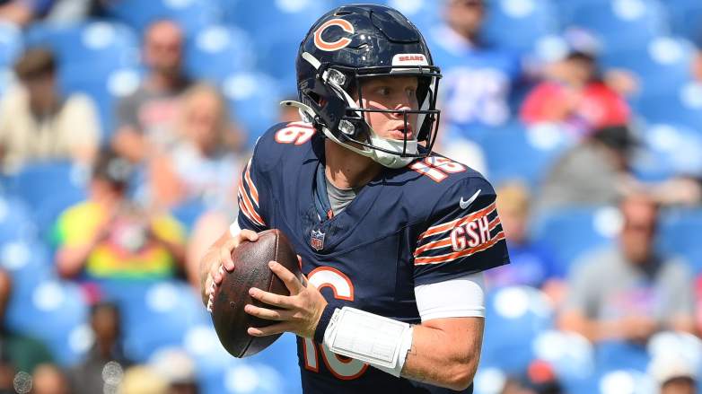 Austin Reed, Bears