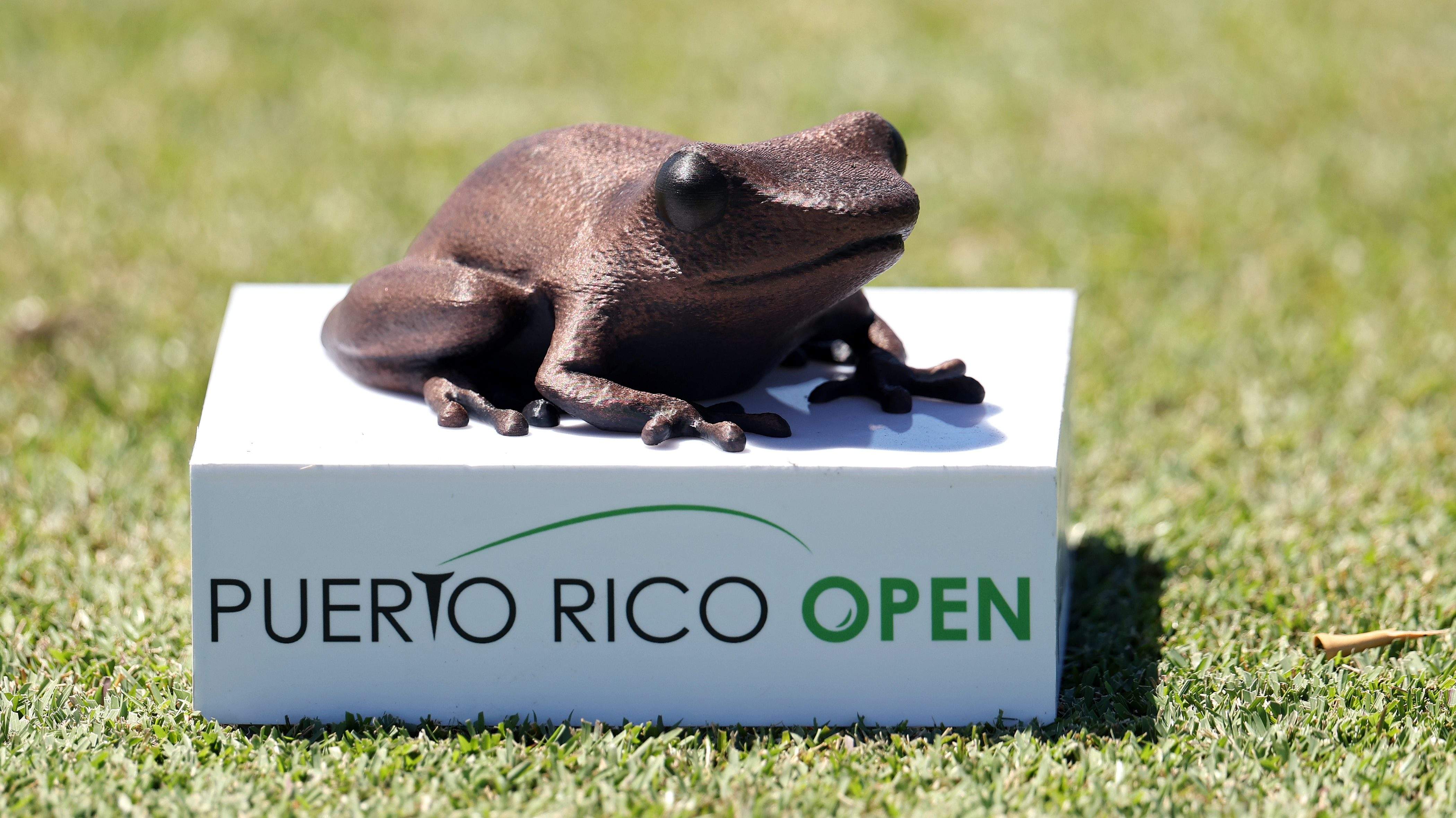 Puerto Rico Open field: John Daly II among notable names