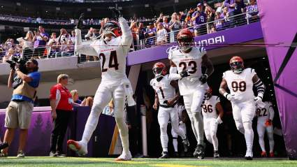 Dolphins Sign Former Bengals $1.5 Million Player in Free Agency