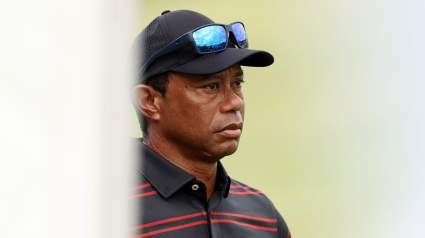 Tiger Woods Photos, Video Reveal New Details After Crash, DUI Arrest