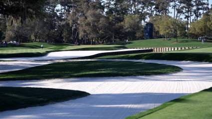 Meet Dexter, the TPC Sawgrass Dog With All-Access Credentials