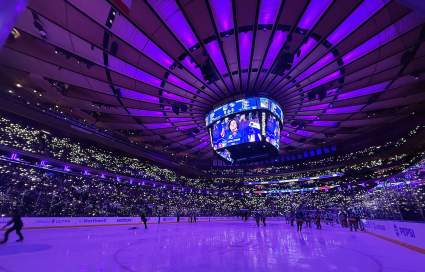 NHL News: What Does Salary Cap Mean to Average Hockey Fans?