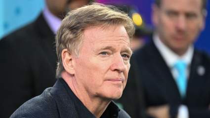 Bears Get Pressure From Roger Goodell on Stadium Decision