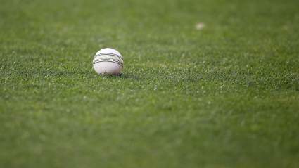 Indonesia vs Sweden Head-to-Head 3rd T20 Cricket Match Final Score