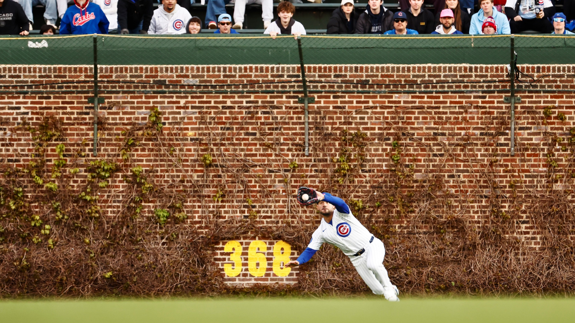 Michael Conforto #20 of the Chicago Cubs makes a diving catch in the second inning against the Philadelphia Phillies at Wrigley Field on April 20, 2026 in Chicago, Illinois. (Photo by Sage Zipeto/Getty Images)
