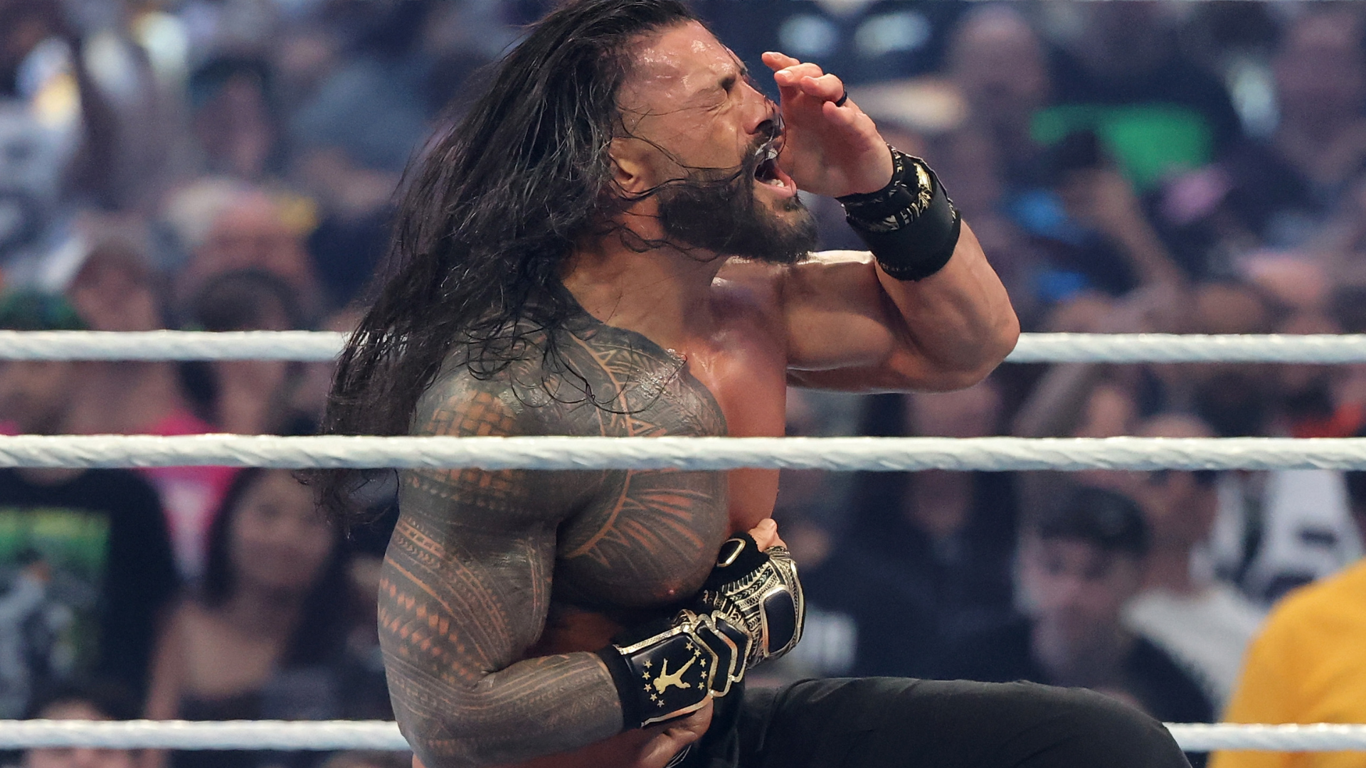 Roman Reigns