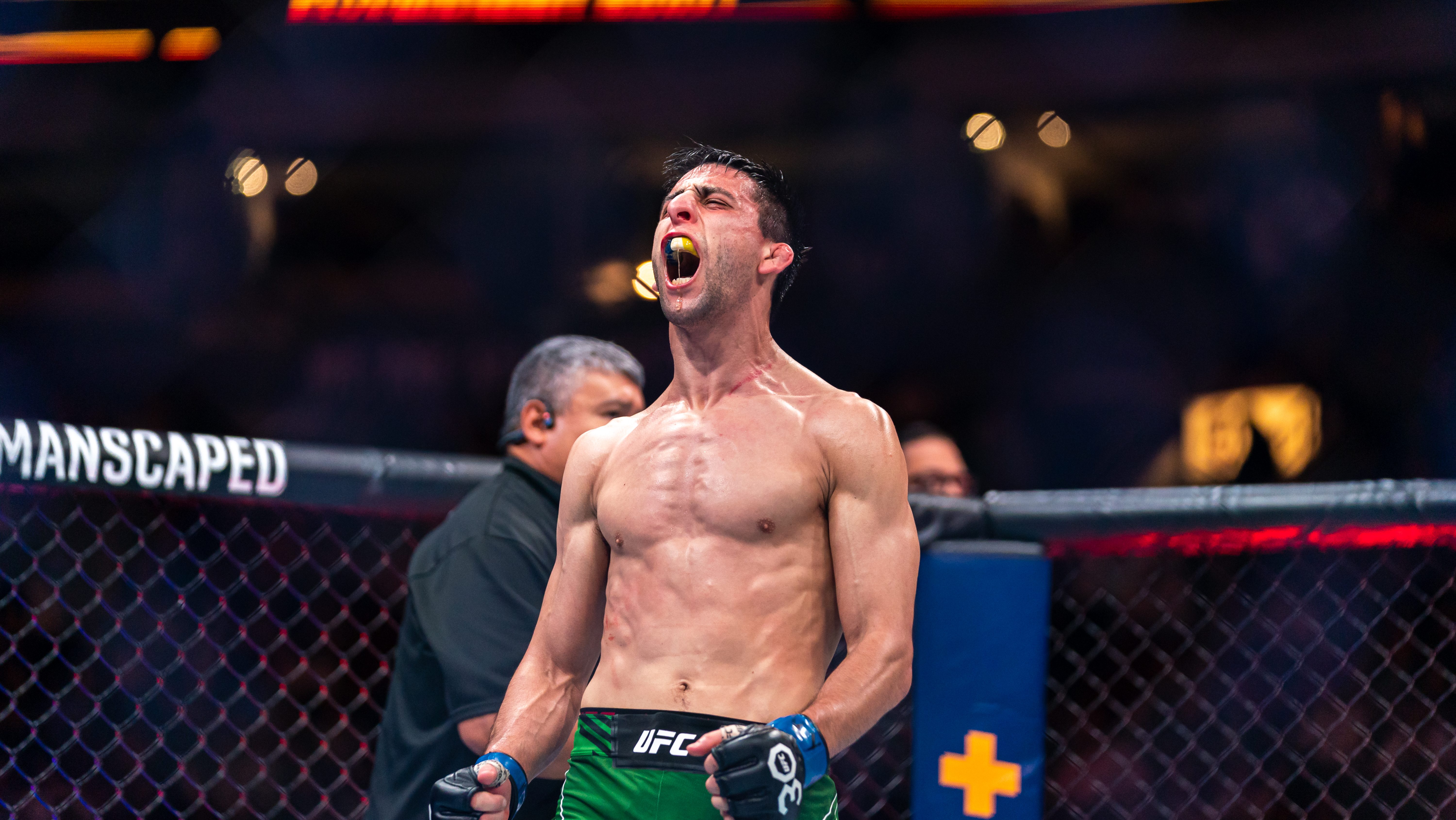 UFC Perth flyweight bout under scrutiny after 'irregular' betting patterns trigger massive odds shift — image 2