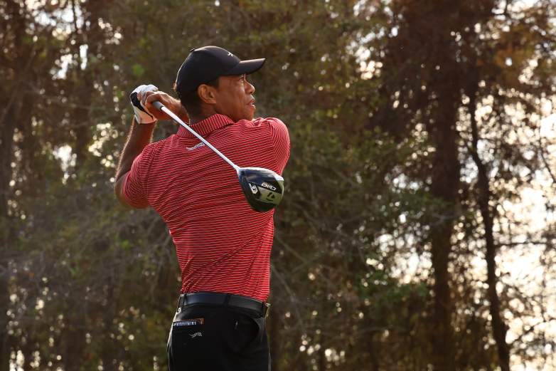 Tiger Woods