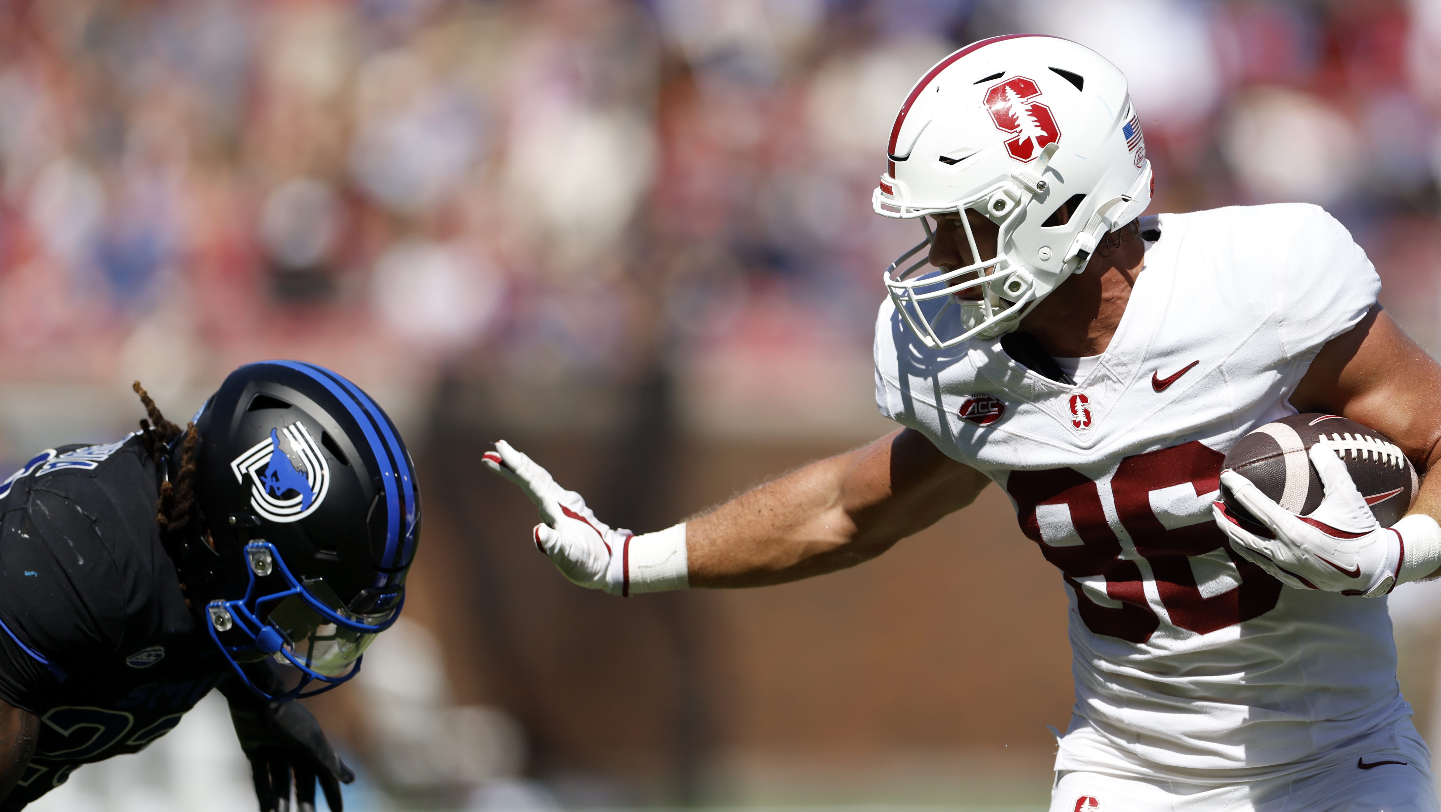 Bears TE Sam Roush