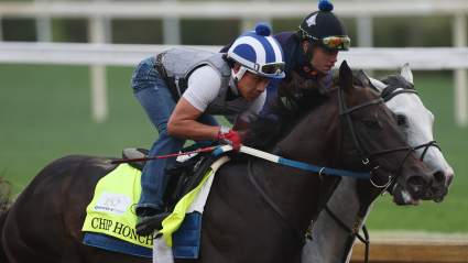 Chip Honcho: Meet the Jockey, Jose Ortiz, Trainer, Horse & Owners at Preakness
