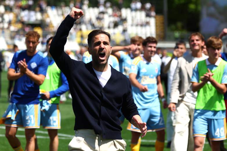 Cesc Fabregas