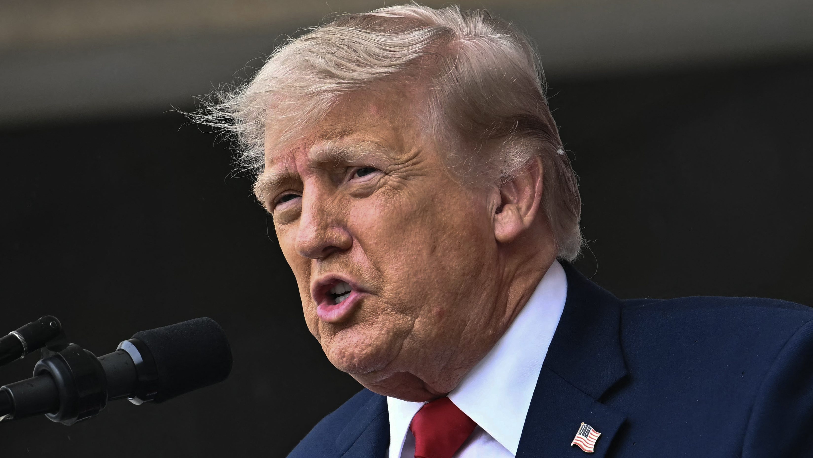 Donald Trump Praises New York Knicks: ‘What a Team’