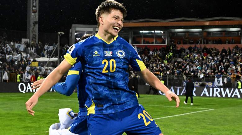 Esmir Bajraktarevic of Bosnia and Herzegovina celebrates.